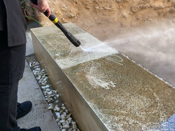 Best Pressure Washing Driveway  in Cambridge Springs, PA